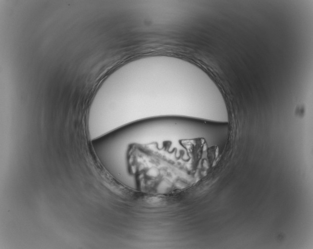 X0000111130325200906301111