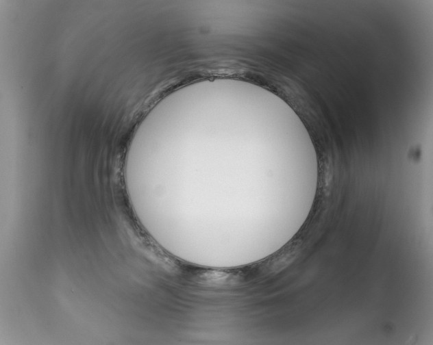 X0000111130326200906301111