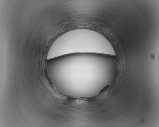 X0000111130327200906301111