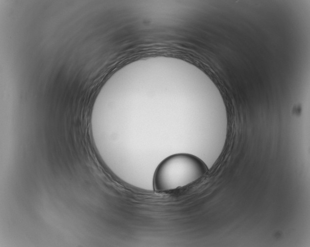 X0000111130328200906301111