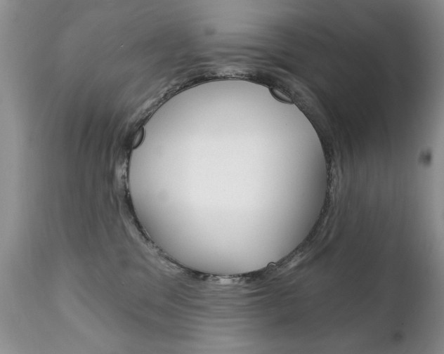 X0000111130329200906301111