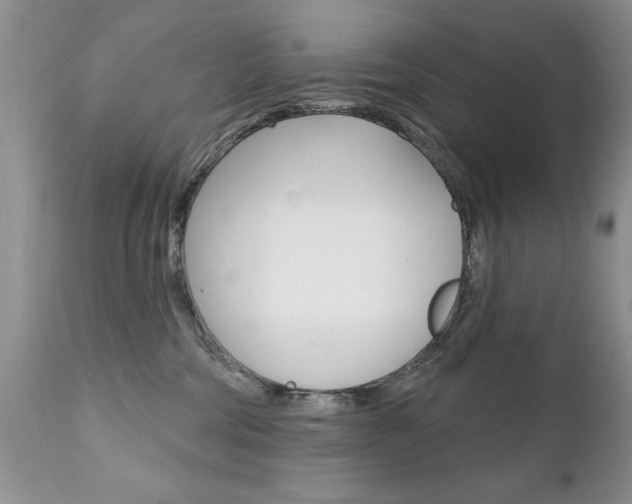X0000111130330200906301111