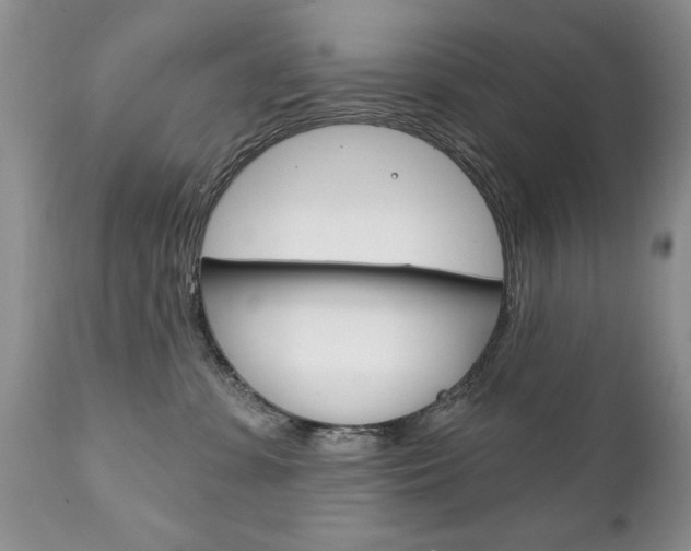 X0000111130331200906301111
