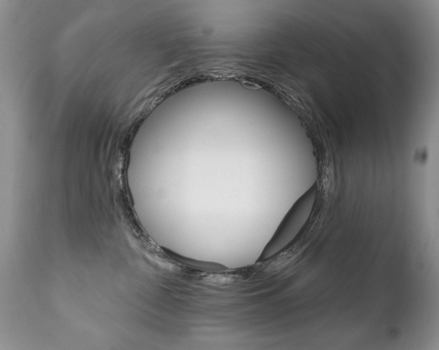 X0000111130332200906301111