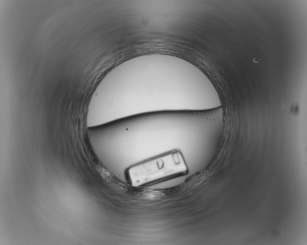 X0000111130333200906301111