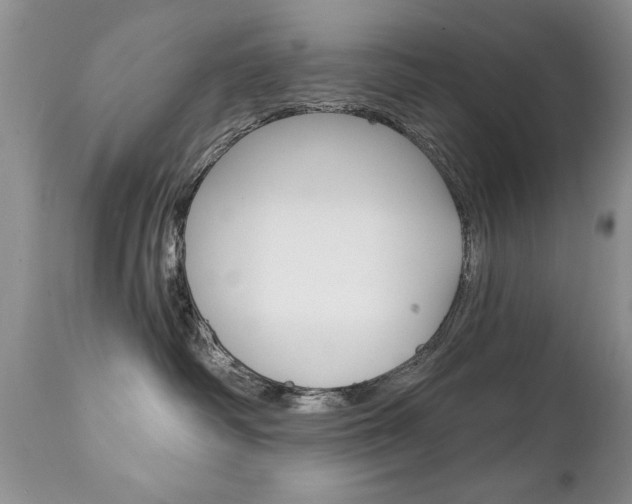 X0000111130334200906301111