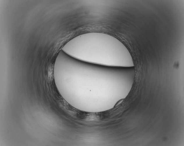 X0000111130335200906301111