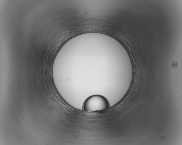 X0000111130336200906301111