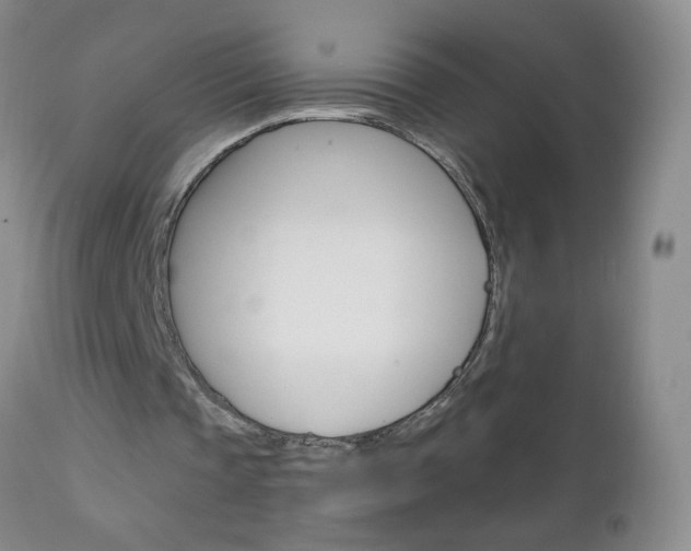 X0000111130337200906301110