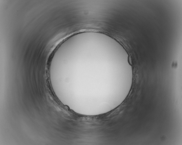 X0000111130338200906301110