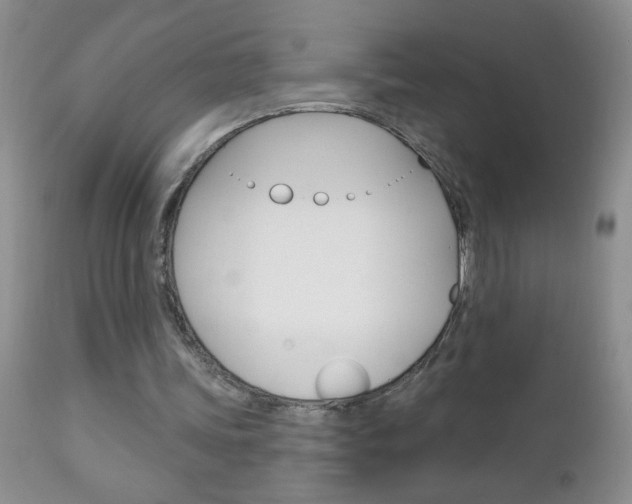 X0000111130339200906301110