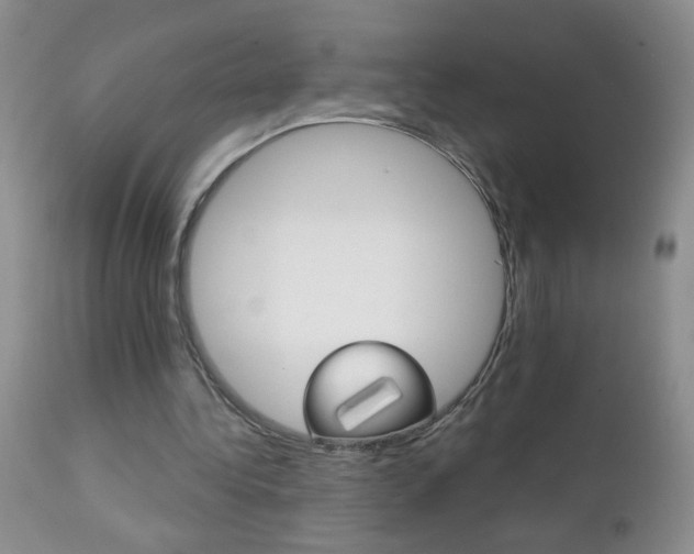 X0000111130340200906301110
