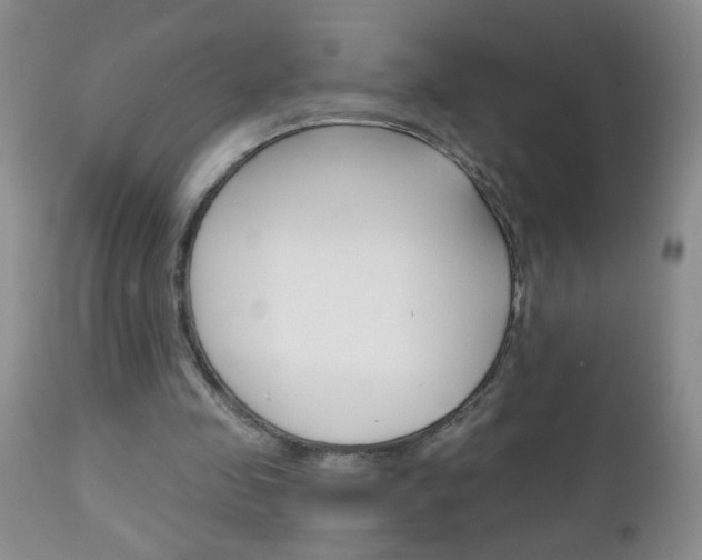 X0000111130341200906301110