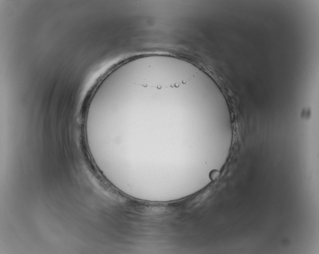 X0000111130342200906301110