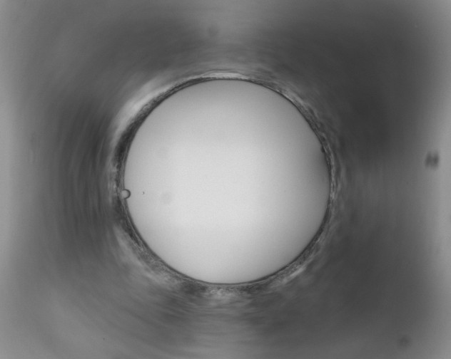 X0000111130343200906301110