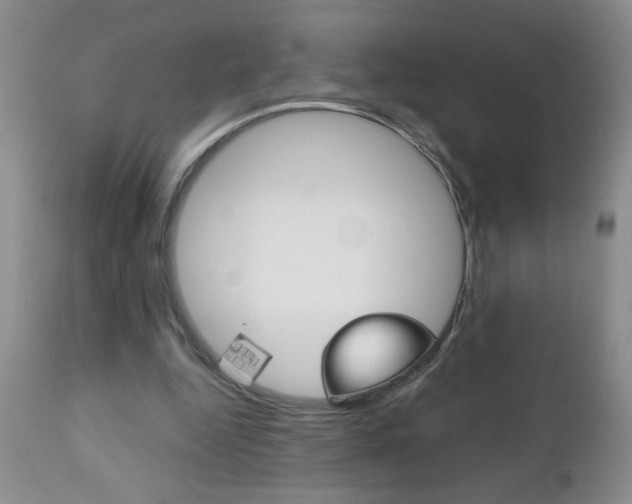 X0000111130344200906301110