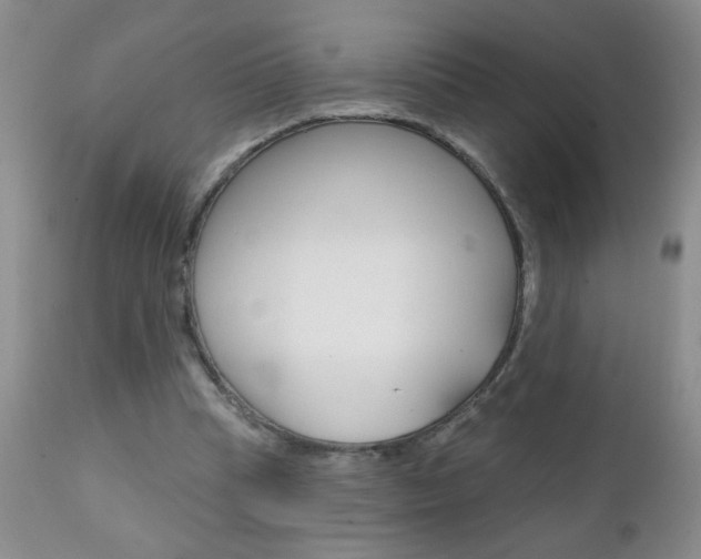 X0000111130345200906301110