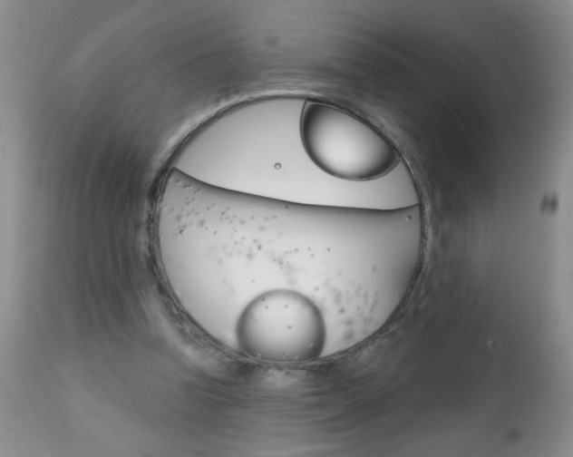 X0000111130346200906301110