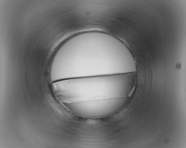 X0000111130350200906301110