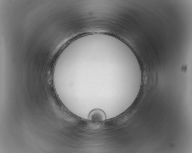 X0000111130351200906301111