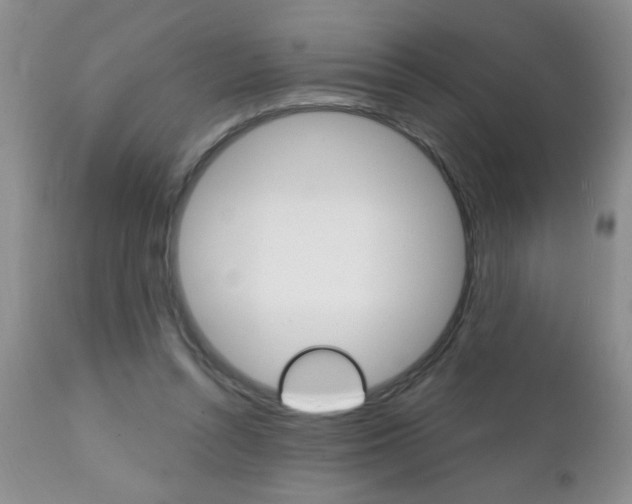 X0000111130352200906301111