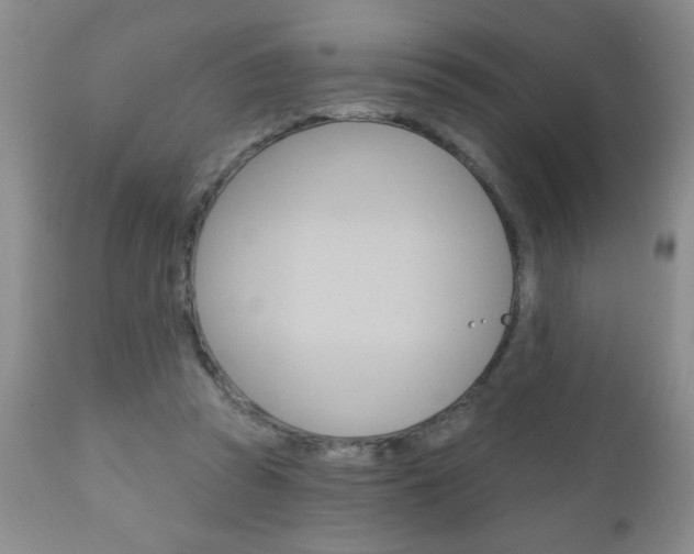 X0000111130353200906301111