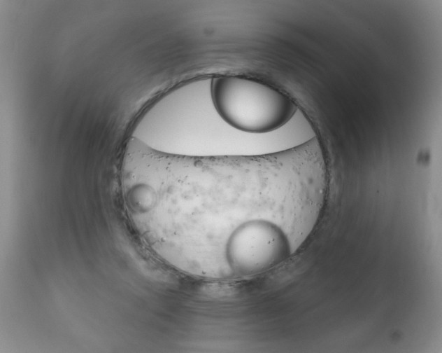 X0000111130354200906301111