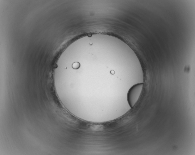 X0000111130355200906301111