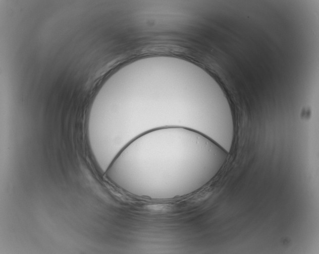 X0000111130356200906301111
