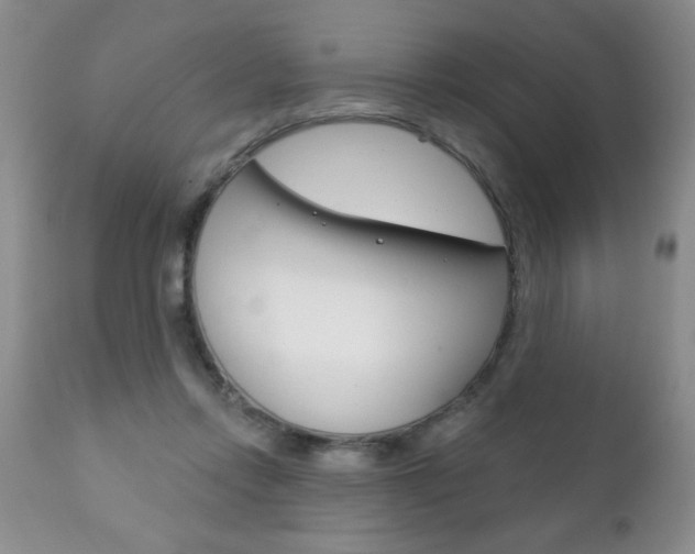 X0000111130358200906301111