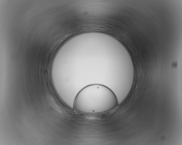 X0000111130360200906301111