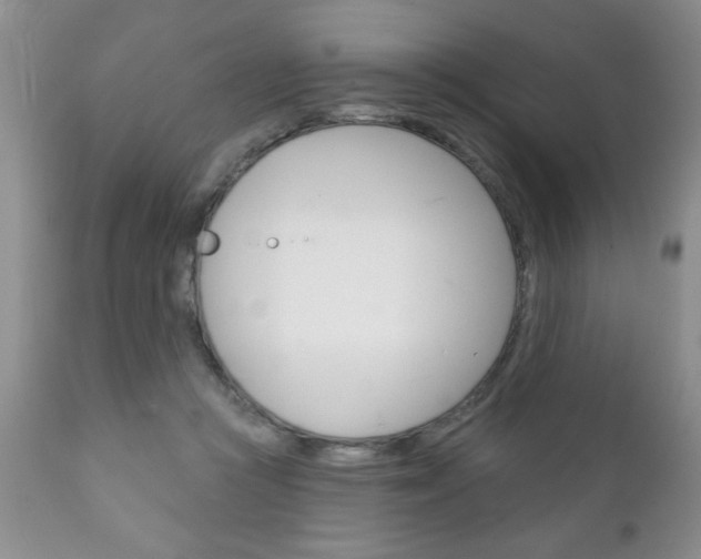 X0000111130361200906301111