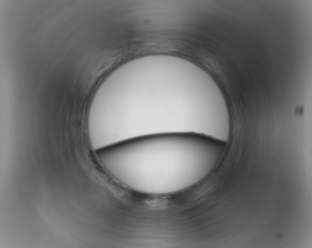 X0000111130362200906301111