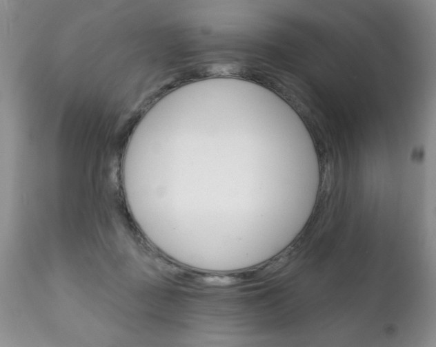 X0000111130363200906301111