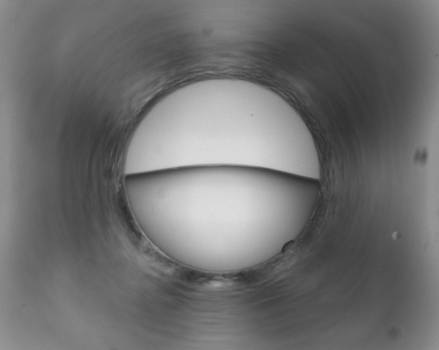 X0000111130364200906301111