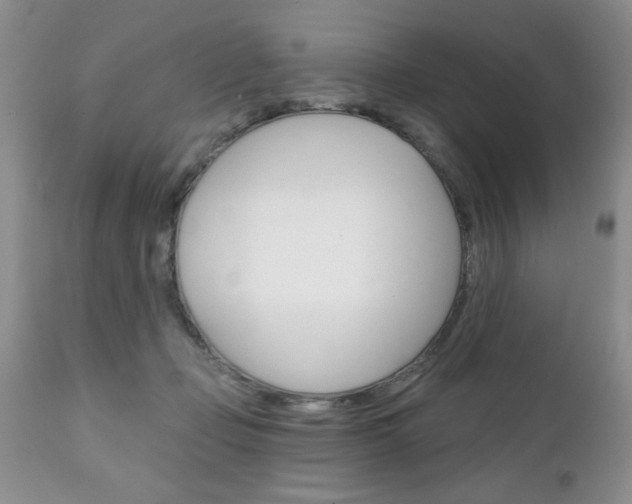 X0000111130365200906301111