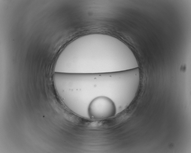 X0000111130366200906301111