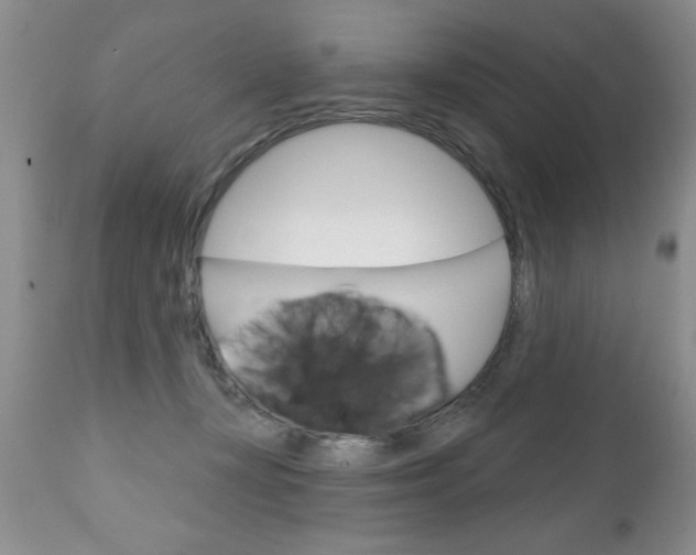 X0000111130367200906301111