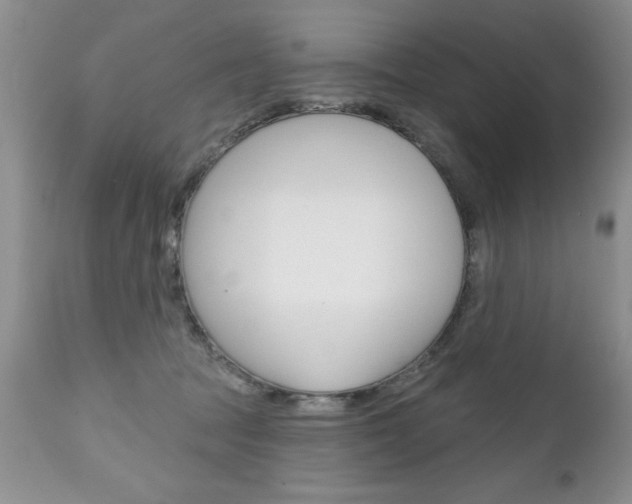 X0000111130369200906301111
