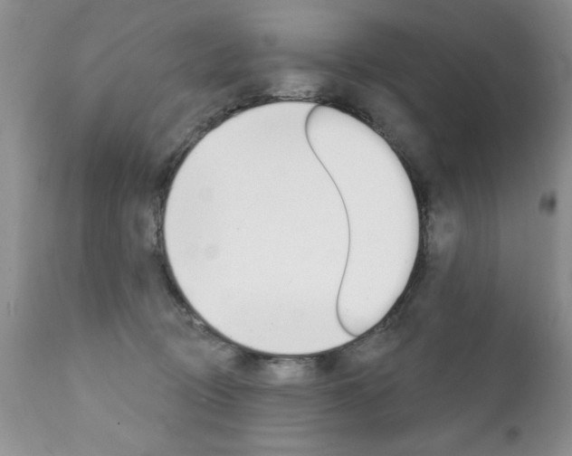 X0000111130370200906301111