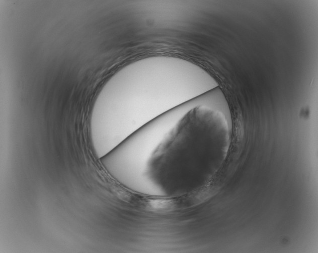 X0000111130371200906301111