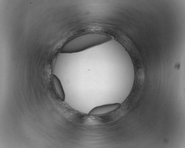 X0000111130372200906301111