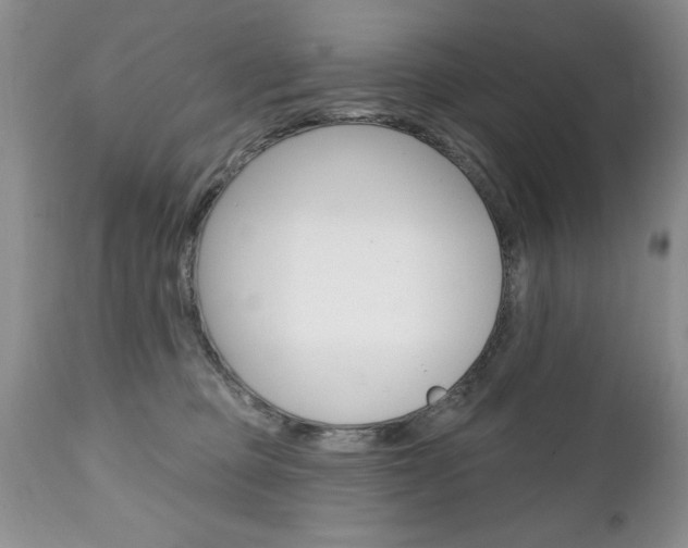 X0000111130373200906301111