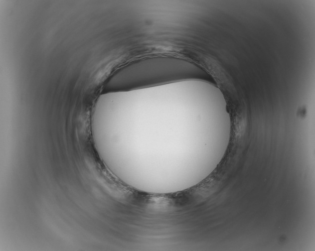 X0000111130376200906301111