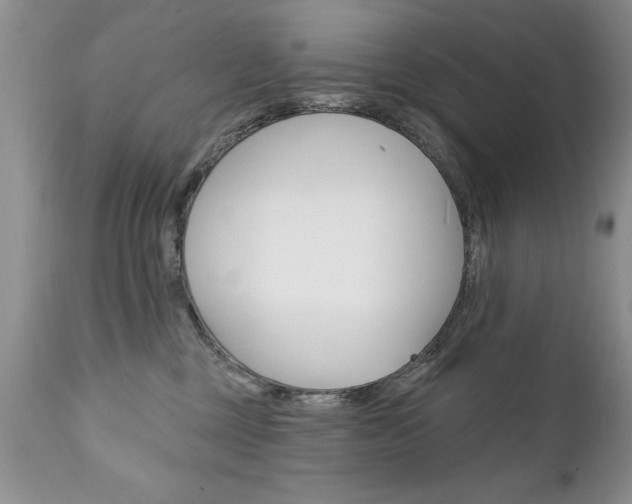 X0000111130377200906301111