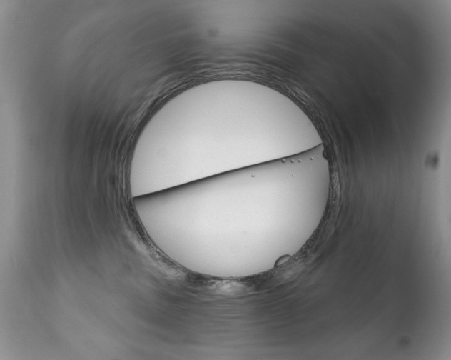 X0000111130379200906301111