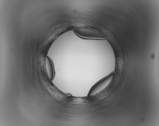 X0000111130380200906301111