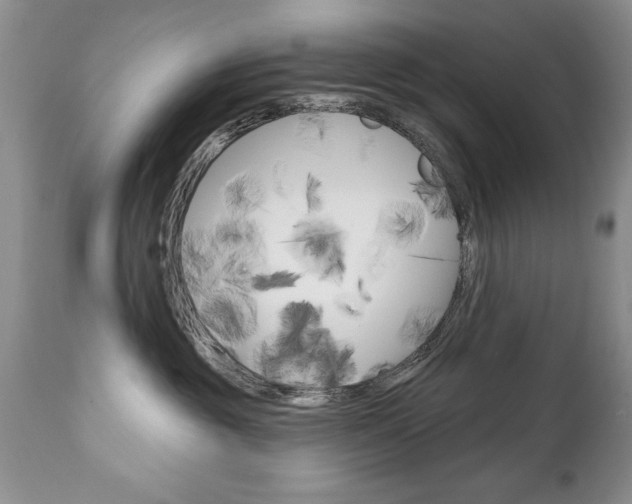 X0000111130381200906301111