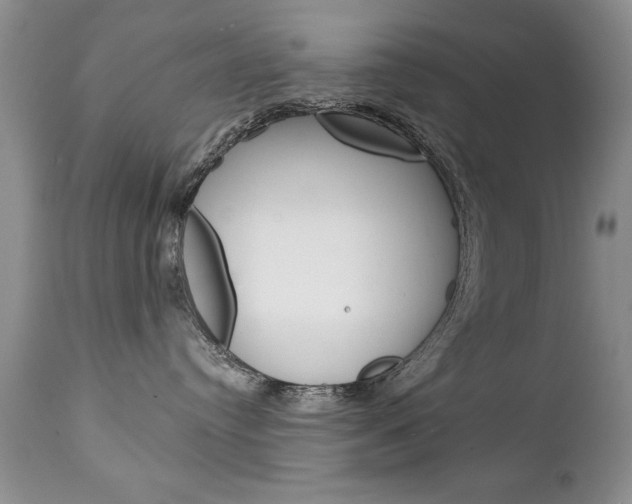X0000111130384200906301111