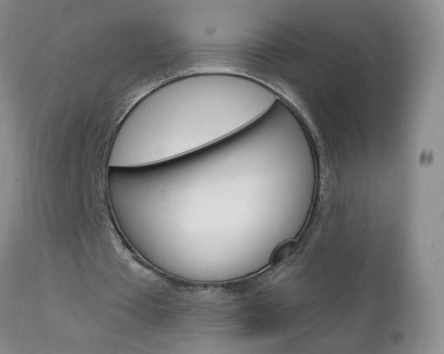 X0000111130385200906301110